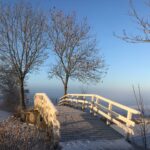 Ochtenddauw bruggetje fietspad