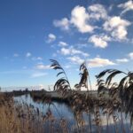 Winterdag in Iens (Fietspad met zicht op het dorp)